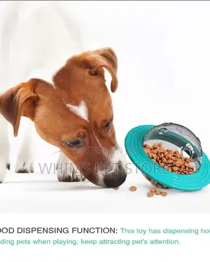 Dog Planet Treat Toy