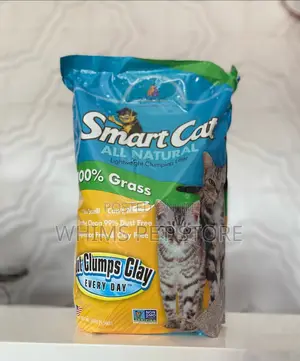 Cat Litter Sand