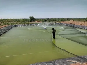 Commercial Earthen Pond