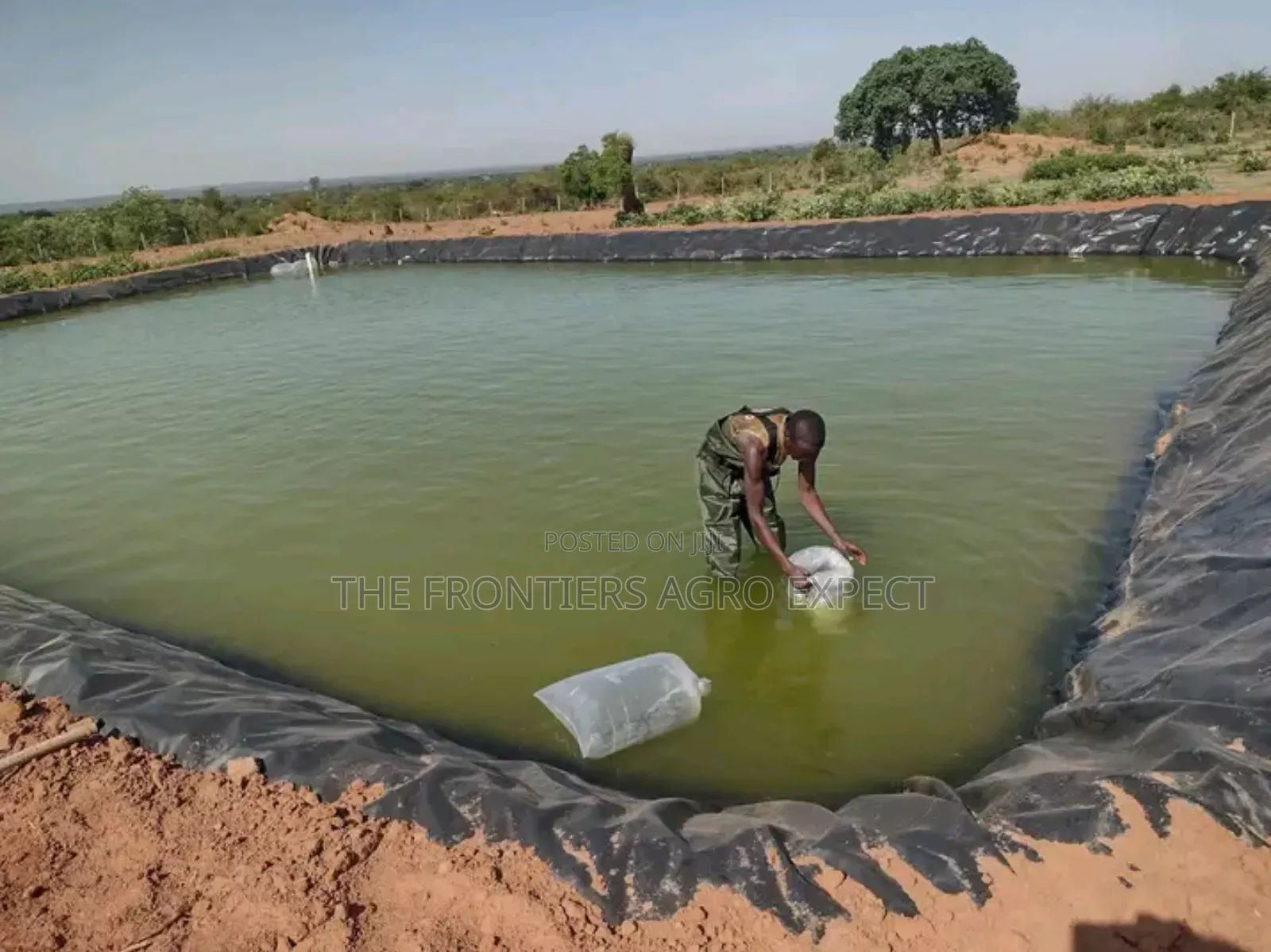 Commercial Earthen Pond