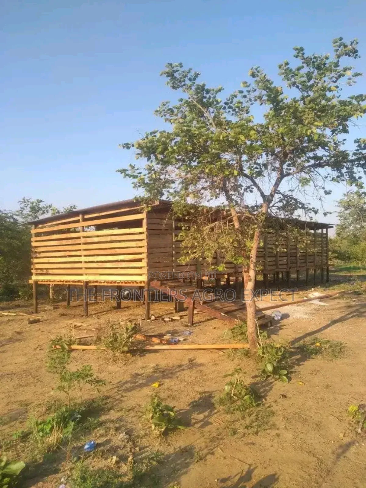 Goat and Sheep Housing