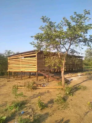 Goat and Sheep Housing