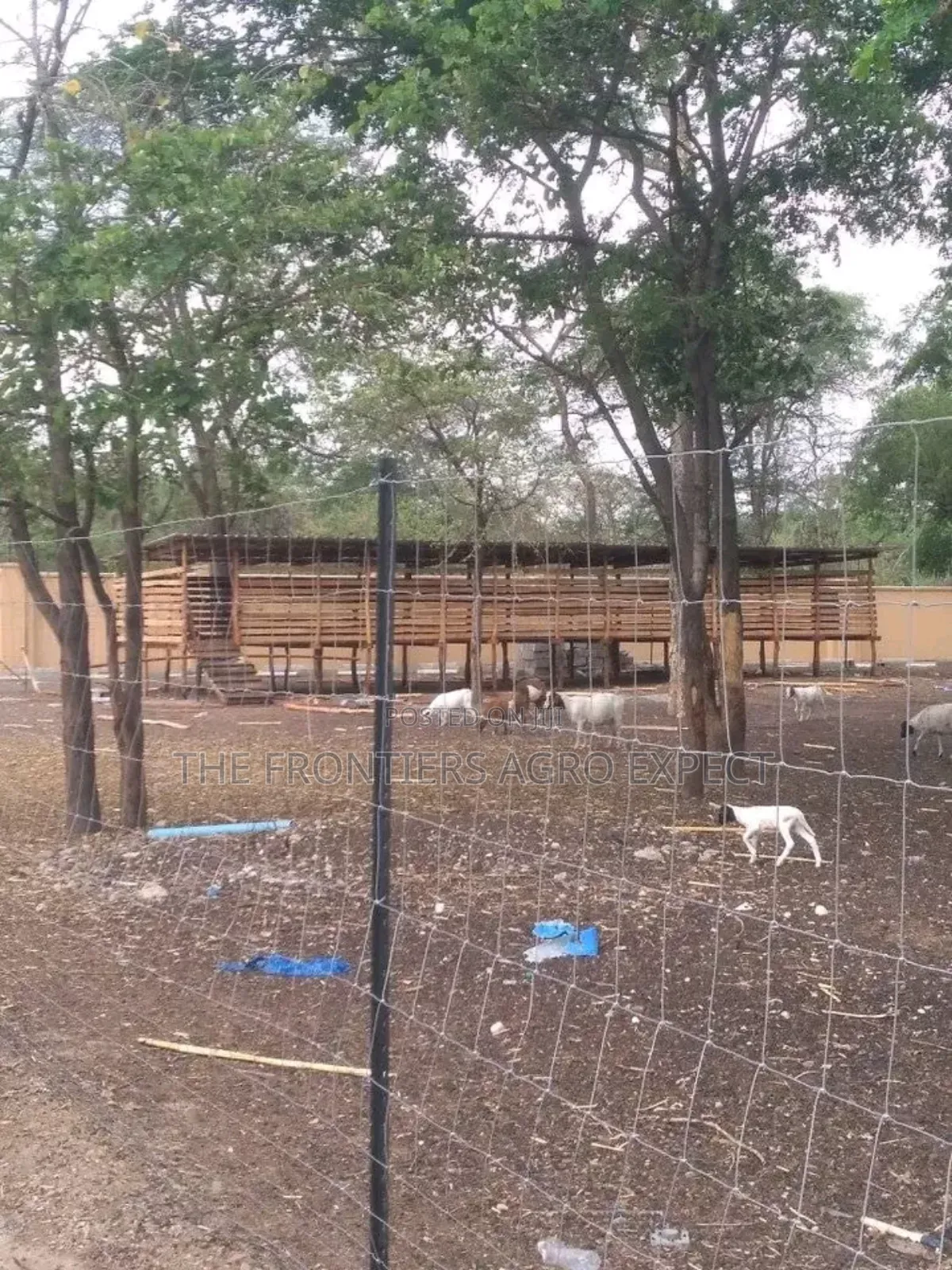 Goat and Sheep Housing