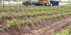 Solar Powered Irrigation