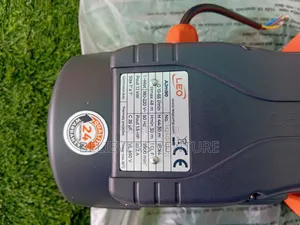 Leo Water Pump