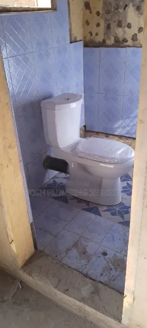 Plumber and Biodigester
