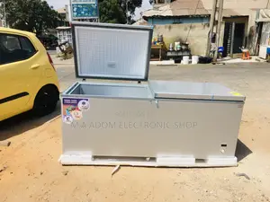 Mega Nasco 800 Litres Chest Freezer for Cold Store