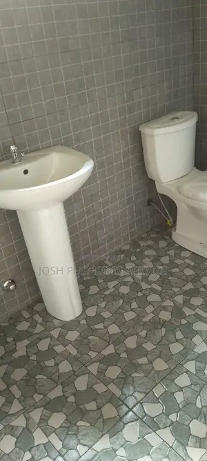 Biodigester and Plumbing