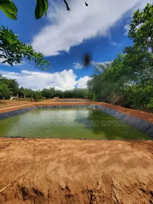 Earthen Pond for Catfish / Tilapia