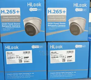 Hikvision/Hilook IP 2MP Camera Full Color Audio