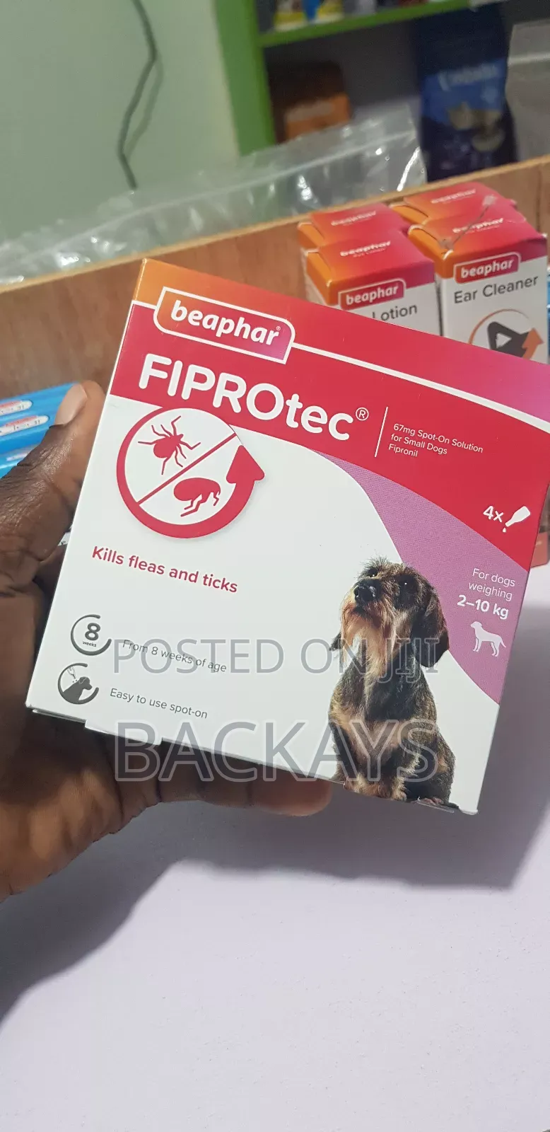 Beephar Fiprotec Flea and Tick Medication for All Dog Types