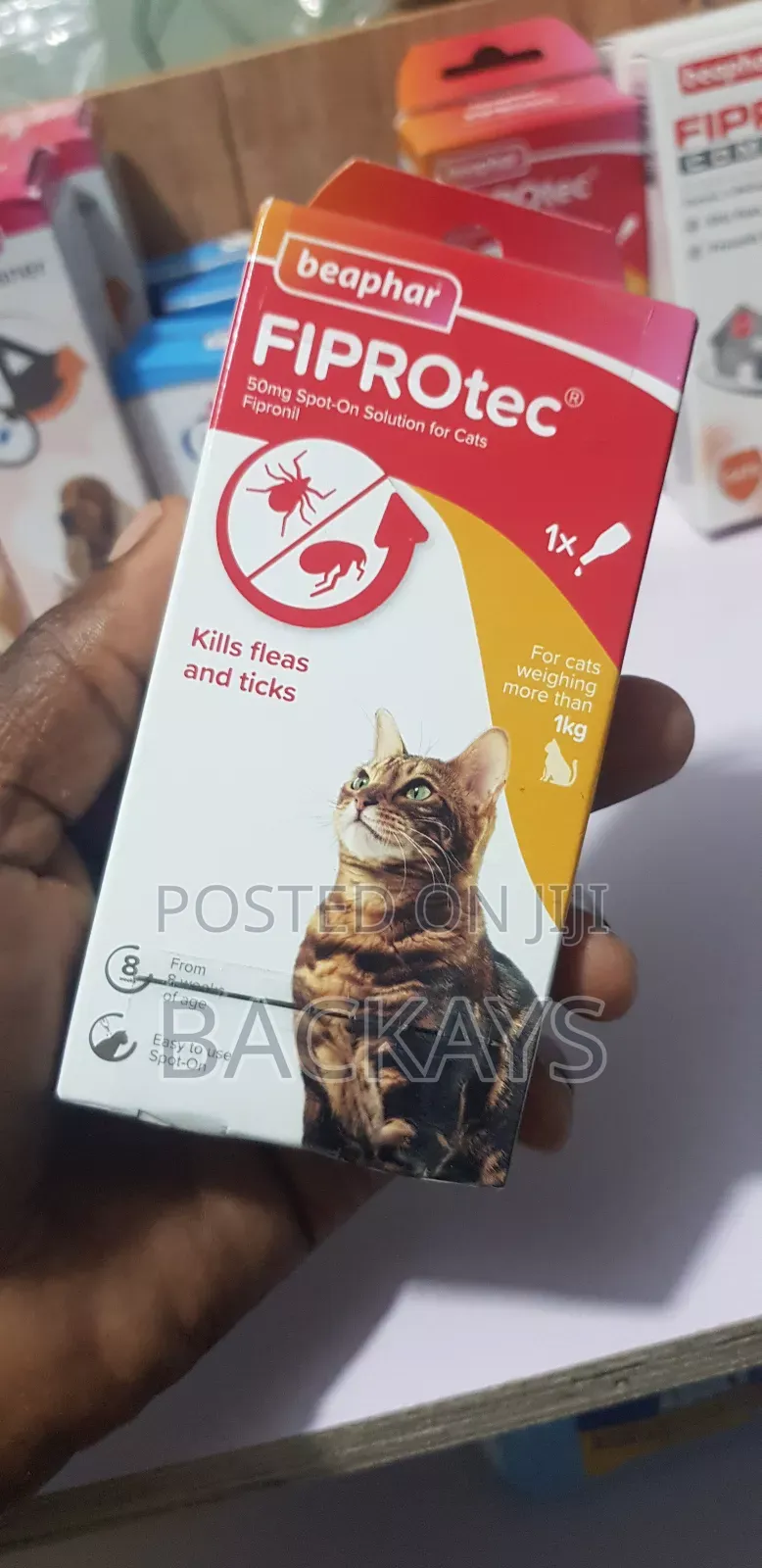 Beephar Fiprotec Flea and Tick Medication for All Cat Types