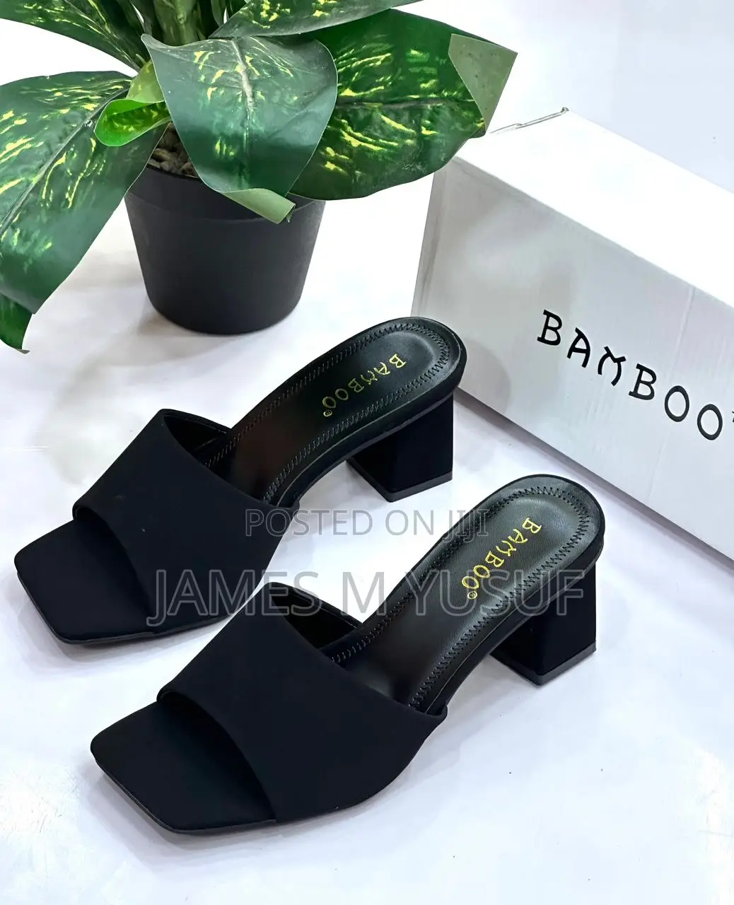 A New Collection From Bamboo Collection