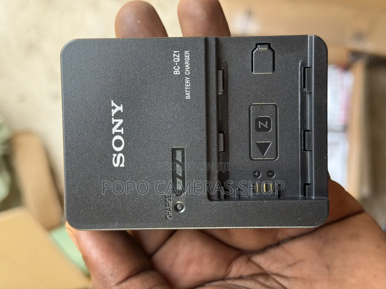 Sony NP-FZ100 Charger
