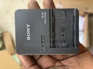Sony NP-FZ100 Charger