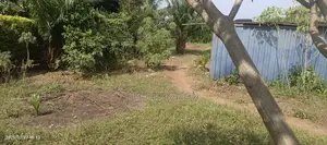 Roadside Land 4 Sale at Oyarifa
