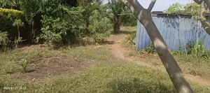 Roadside Land 4 Sale at Oyarifa