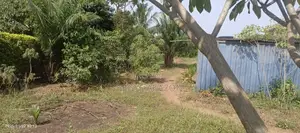 Roadside Land 4 Sale at Oyarifa