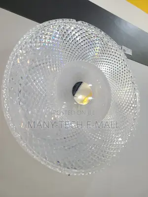 Brand New Day Light Ceiling Light
