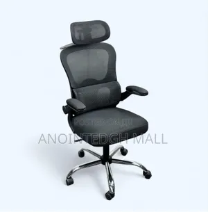 Ergonomic Executive Office Chair - Black