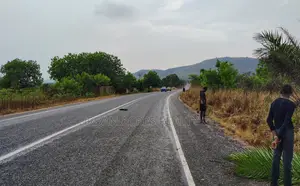 Volta Region, (Asikuma - Ho Road) _ 2 Half Plots Roadside Land