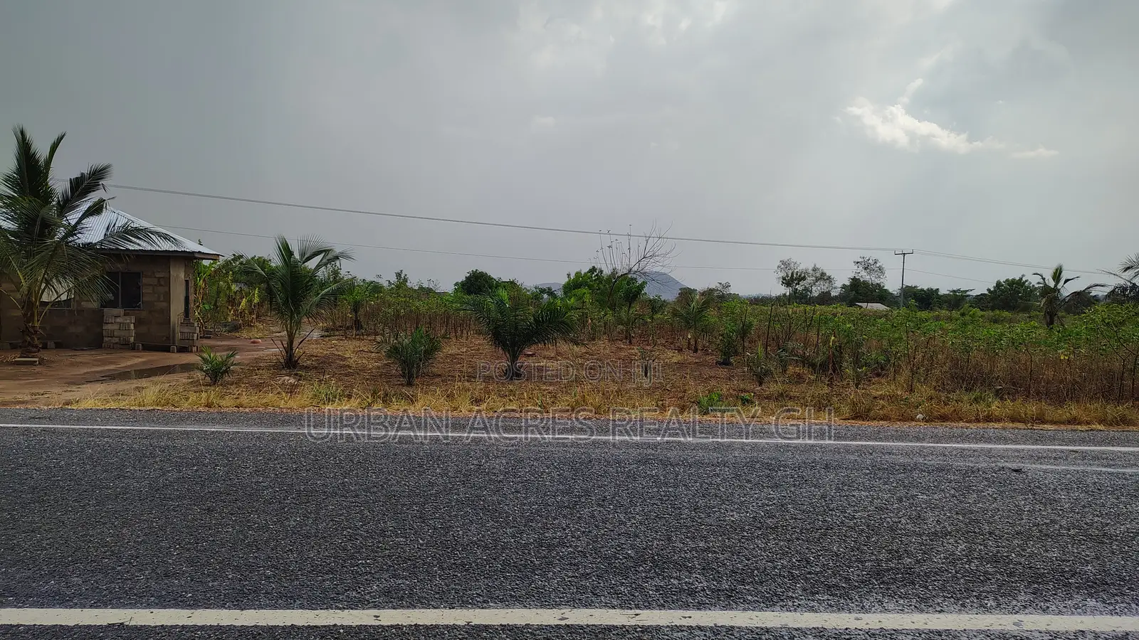 Volta Region, (Asikuma - Ho Road) _ 2 Half Plots Roadside Land