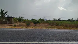 Volta Region, (Asikuma - Ho Road) _ 2 Half Plots Roadside Land