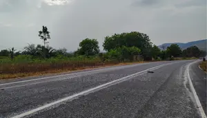 Volta Region, (Asikuma - Ho Road) _ 2 Half Plots Roadside Land