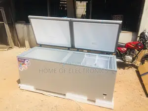 Affordable Nasco 800l Double Door Chest Freezer(Silver)
