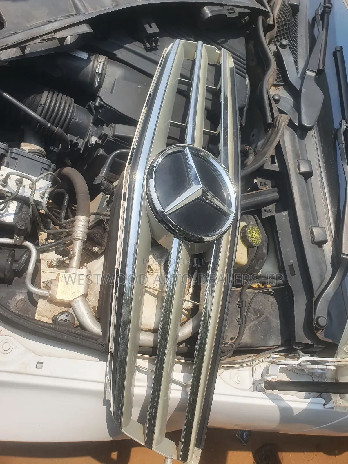 Mercedes Benz Shells and Crown