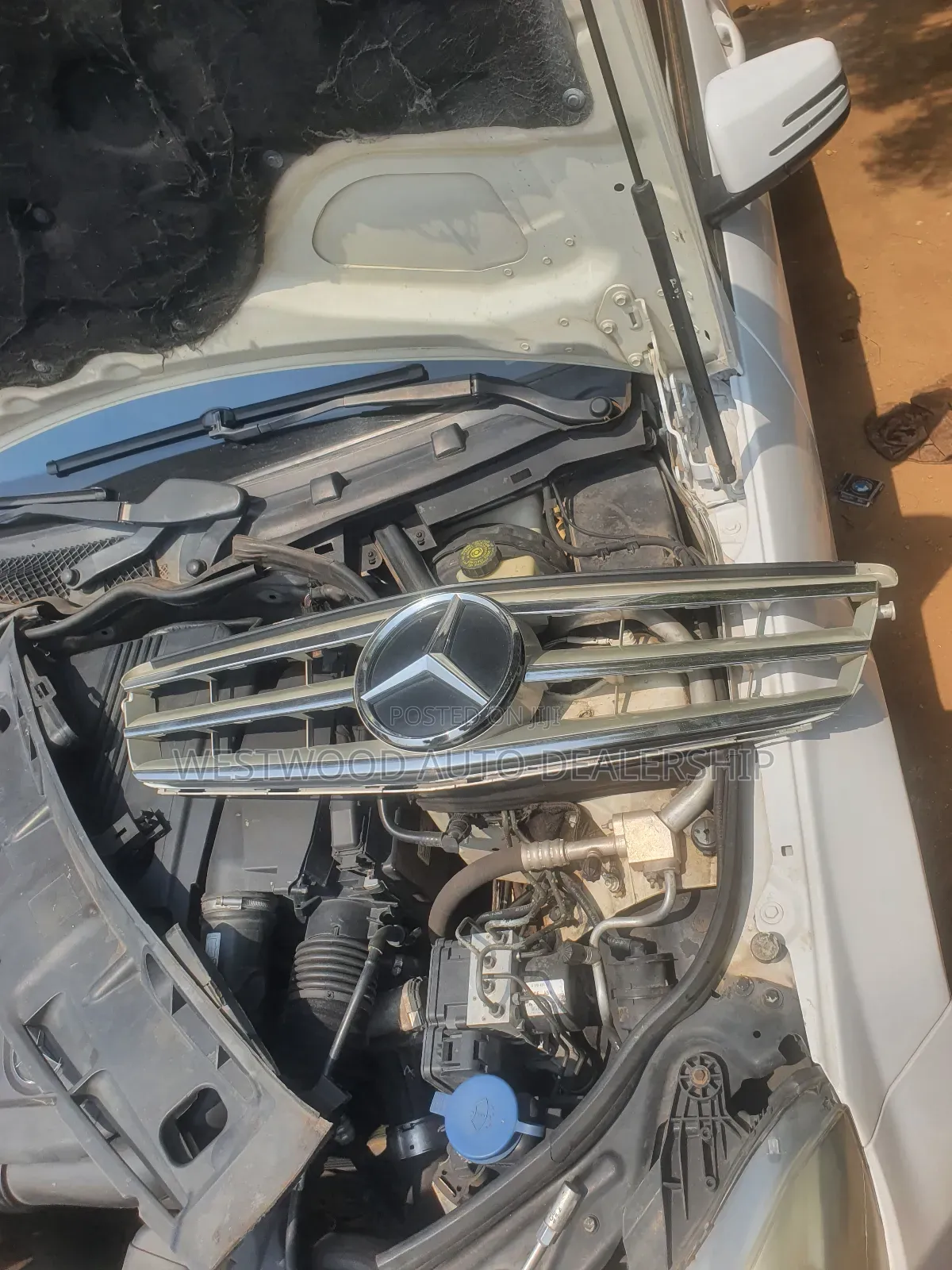 Mercedes Benz Shells and Crown