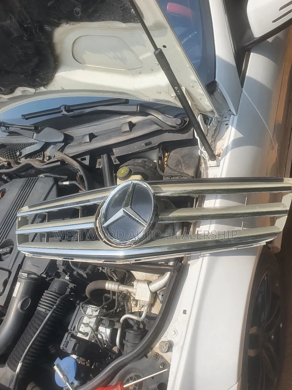 Mercedes Benz Shells and Crown
