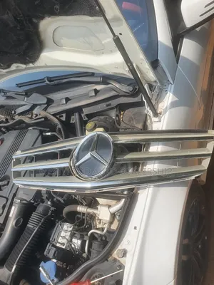 Mercedes Benz Shells and Crown