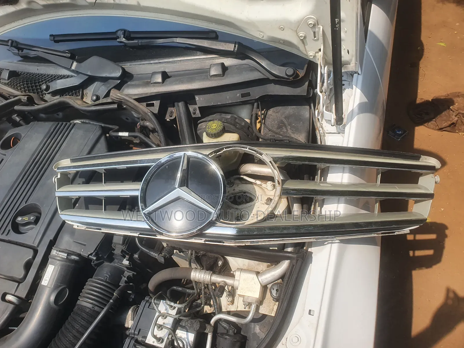 Mercedes Benz Shells and Crown