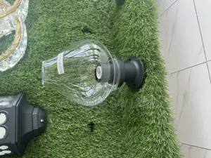 Wall and Gate Lights