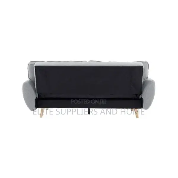 Sofa Bed / Couch