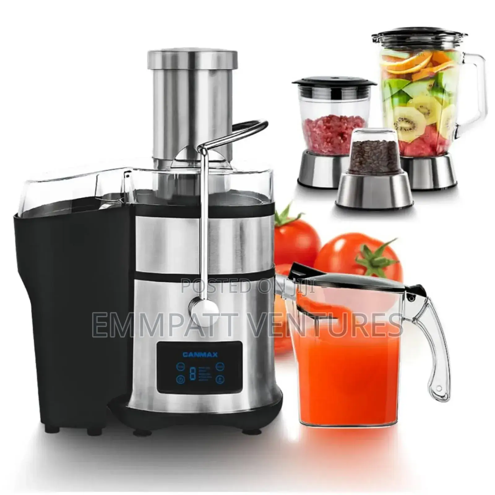 4 in 1 Powerful Fruit Juicer and Blender
