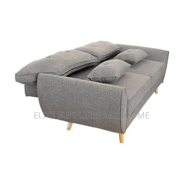 Sofa Bed/Couch