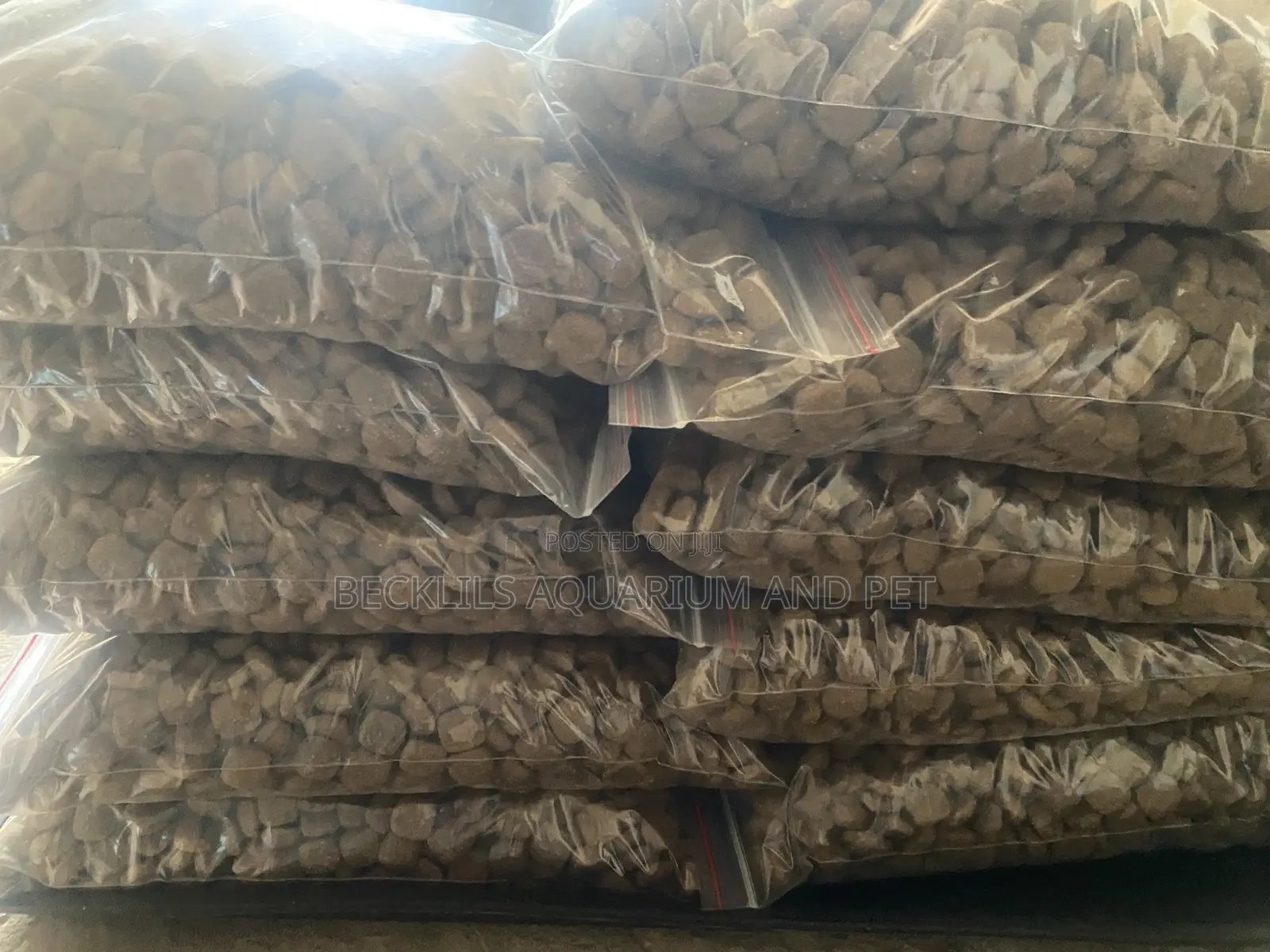 Divinus Dog Food