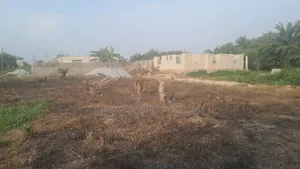Plot for Sale at Windo