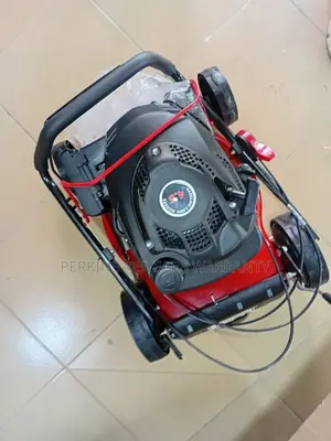 Gasoline Lawn Wavers 4.5 Ecoolmax Pertol Mower Japan Model