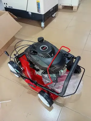 Silent Power 4.5 Gasoline Lawn Mower Ecoolmax Pertol Mower