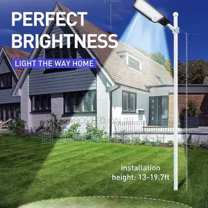 Street Light 100W