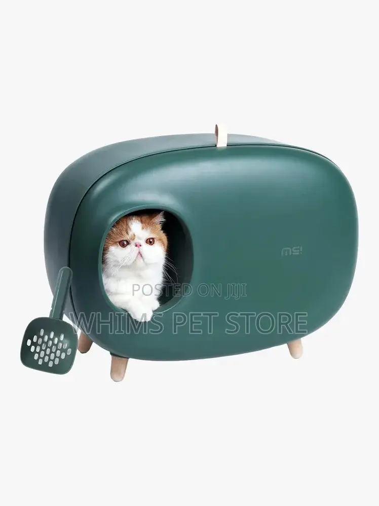 Portable Cat Little Box