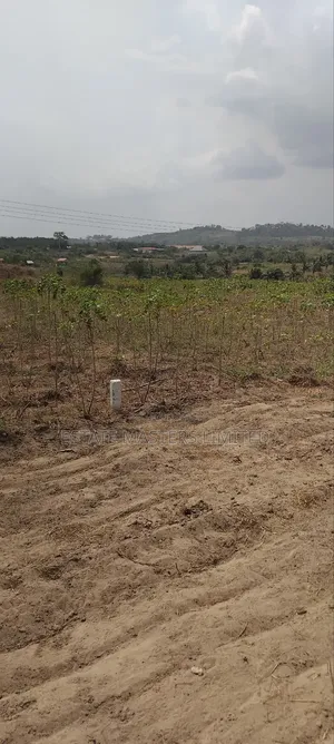 Yes!! You Stand a Chance This 2025 to Be a Landowner!!