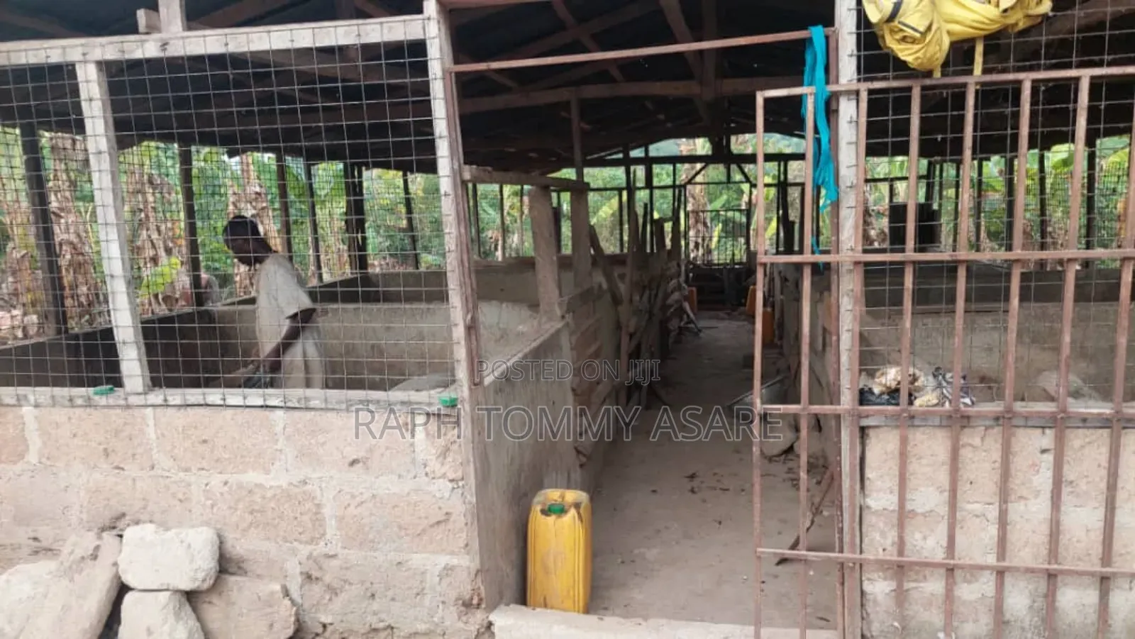 3plots of Land, 38pigs, 10rooms of Pig Structure, 1bed Room