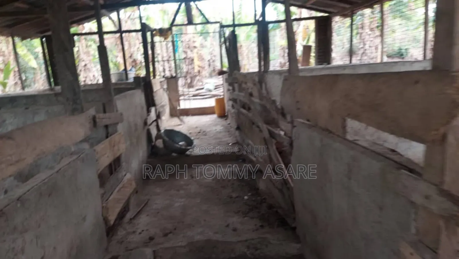 3plots of Land, 38pigs, 10rooms of Pig Structure, 1bed Room