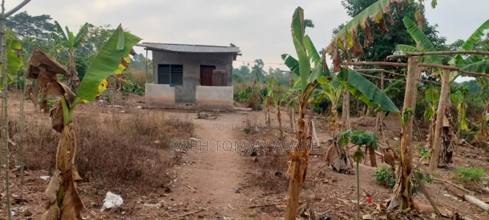 3plots of Land, 38pigs, 10rooms of Pig Structure, 1bed Room