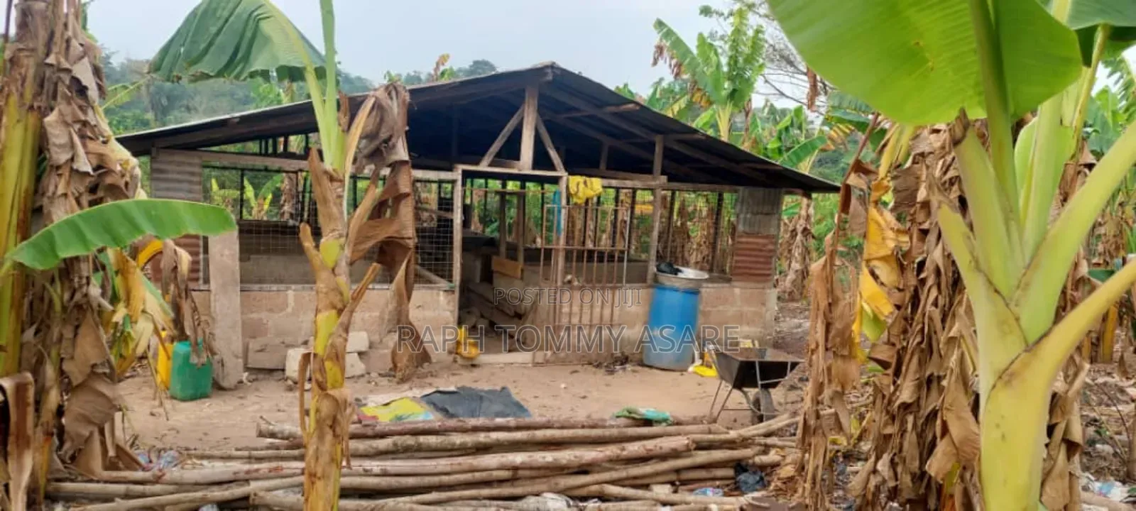 3plots of Land, 38pigs, 10rooms of Pig Structure, 1bed Room