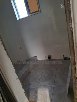 Togo and Ghana Style Tiling Professional